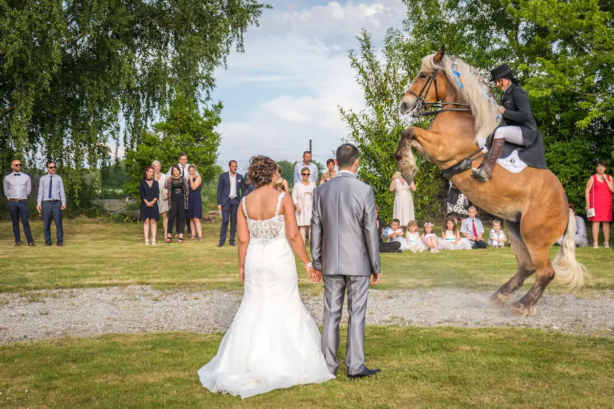 Spectacle équestre organisé pour le mariage